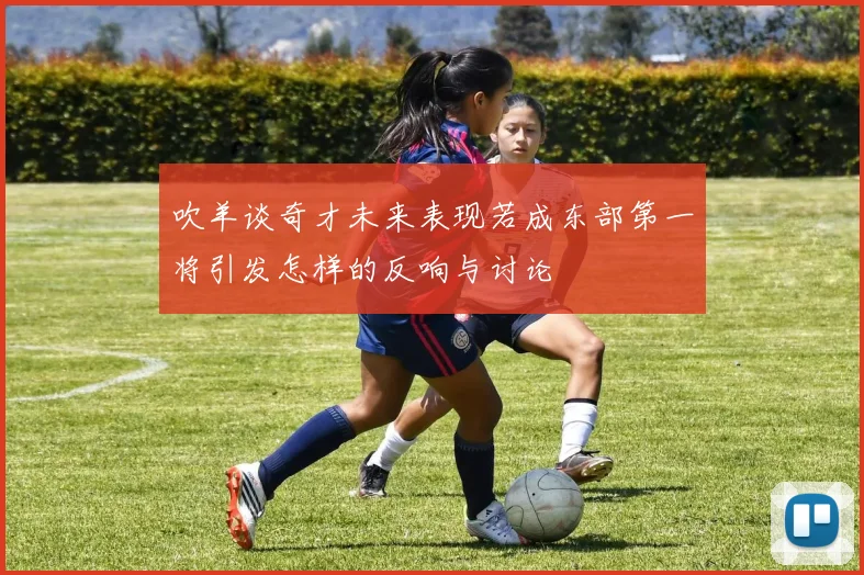 吹羊谈奇才未来表现若成东部第一将引发怎样的反响与讨论