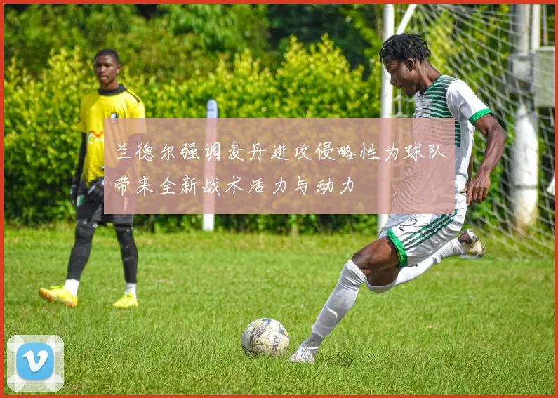 兰德尔强调麦丹进攻侵略性为球队带来全新战术活力与动力