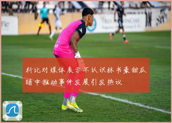 科比对媒体表示不认识林书豪甜瓜暗中推动事件发展引发热议